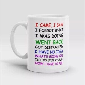 Novelty I CAME I SAW I FORGOT Funny Novelty Cup Gift Coffee Mug 11oz